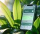 Ecopayz SMS Kasyno